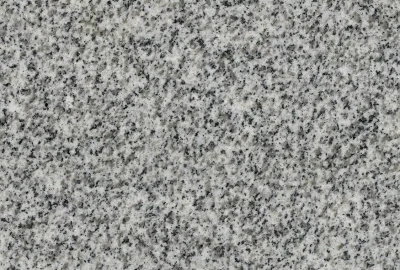 TALIGR-2-WEB-1